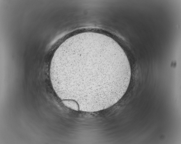 X0000112061255200909151018