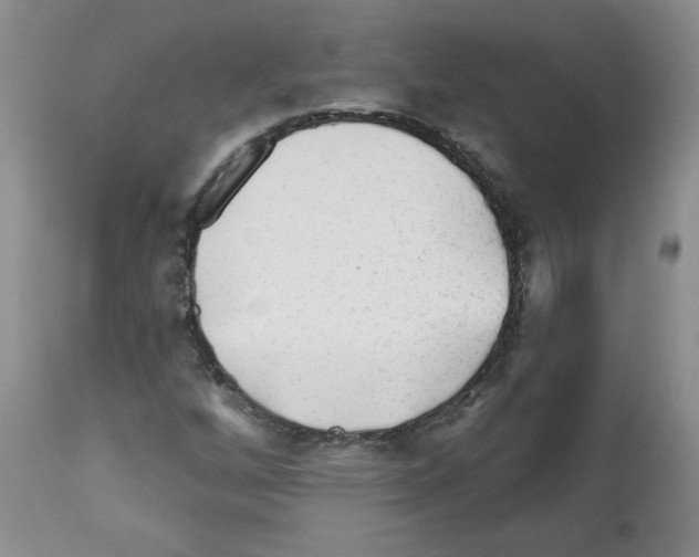 X0000112061256200909151018