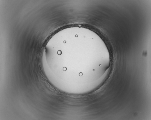 X0000112061257200909151018