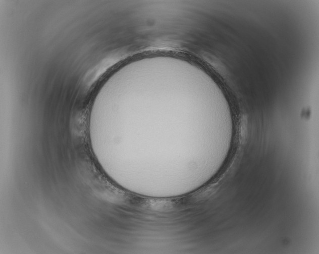 X0000112061258200909151018