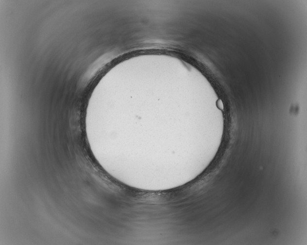 X0000112061259200909151018