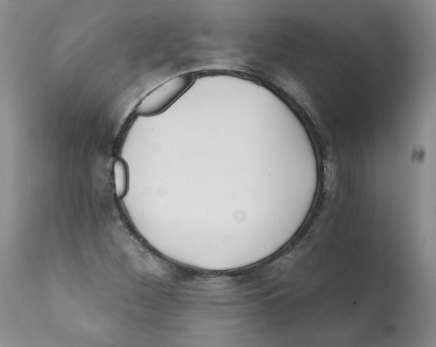 X0000112061260200909151018