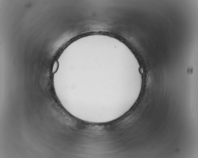 X0000112061261200909151018