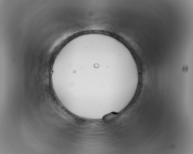X0000112061262200909151018