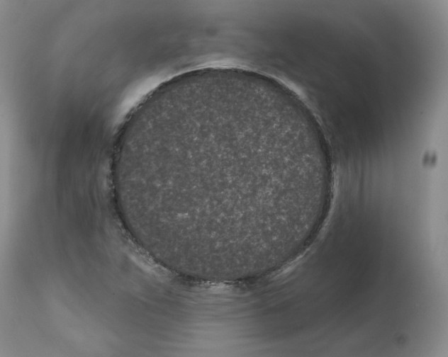 X0000112061263200909151018