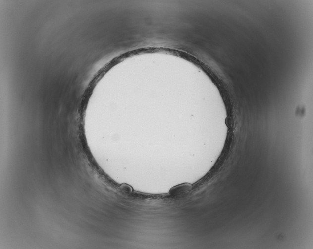 X0000112061264200909151018