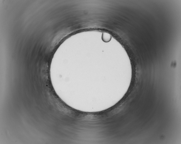 X0000112061265200909151018