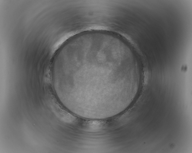 X0000112061266200909151018