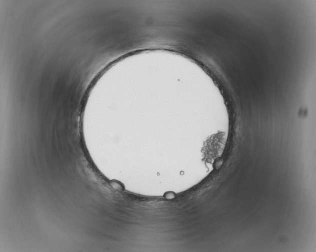 X0000112061268200909151018