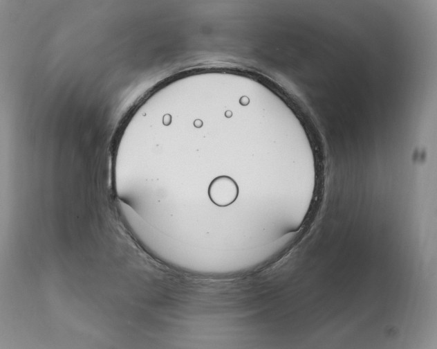 X0000112061269200909151017