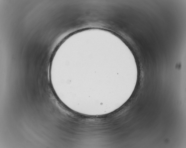 X0000112061272200909151017