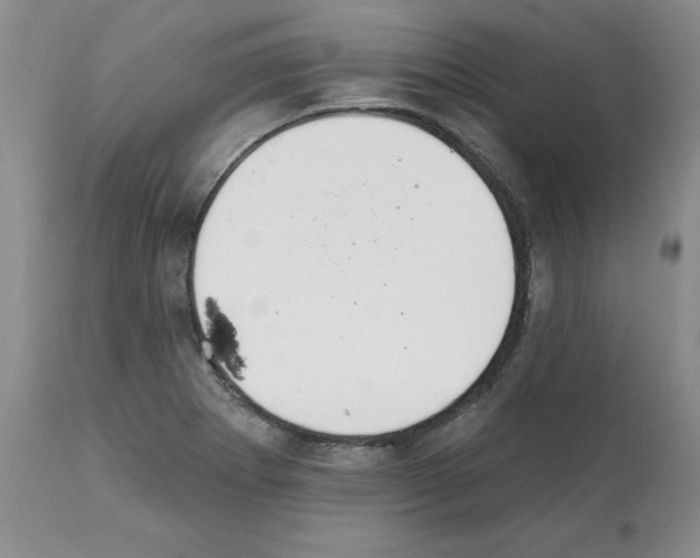 X0000112061273200909151017