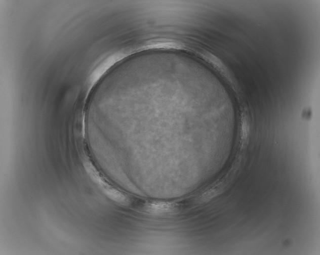 X0000112061274200909151017