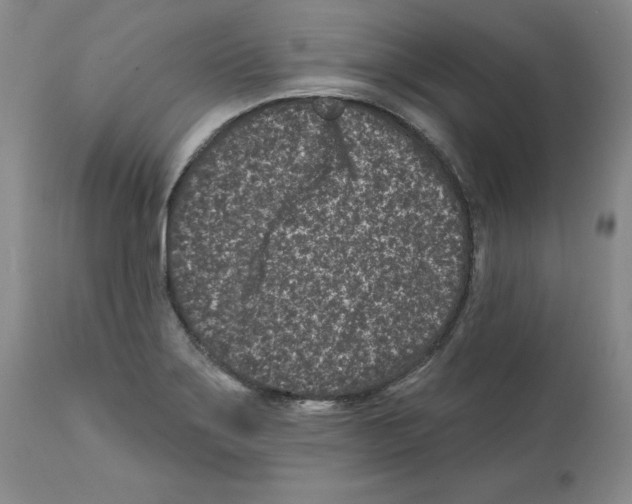 X0000112061275200909151017