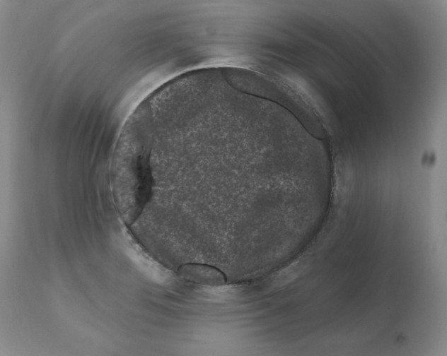 X0000112061276200909151017