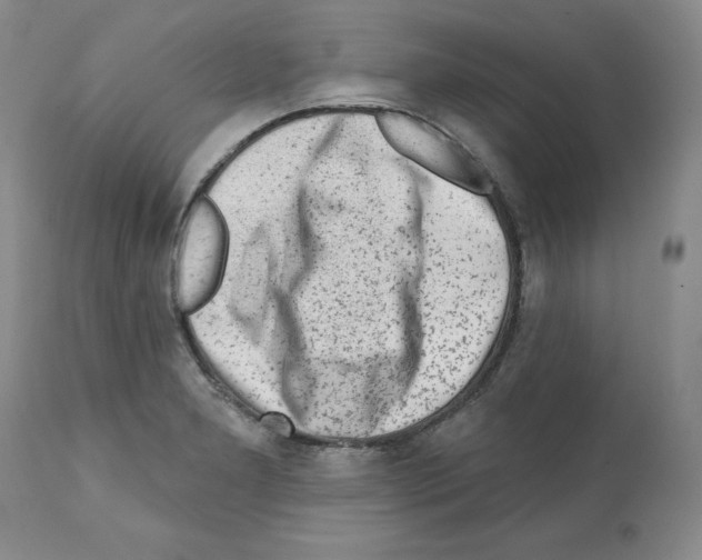 X0000112061277200909151017