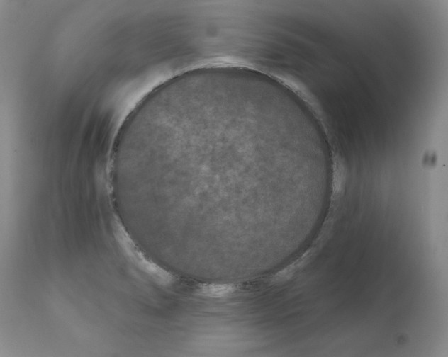 X0000112061278200909151017
