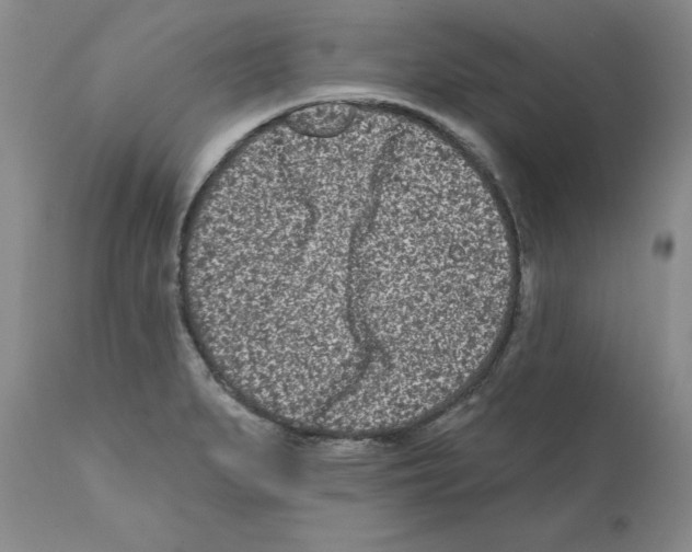 X0000112061279200909151017
