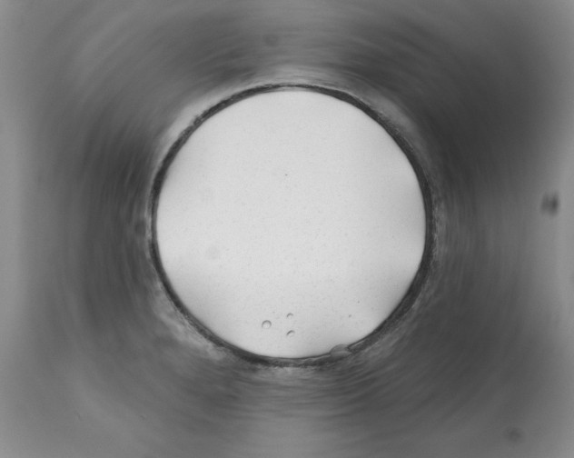 X0000112061280200909151017