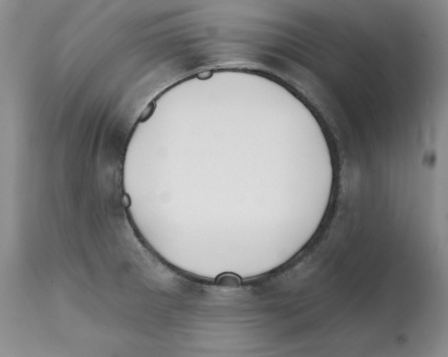 X0000112061281200909151017