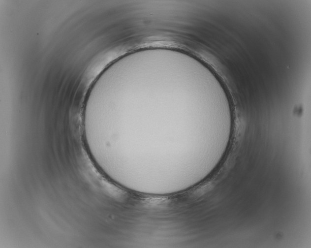 X0000112061282200909151017