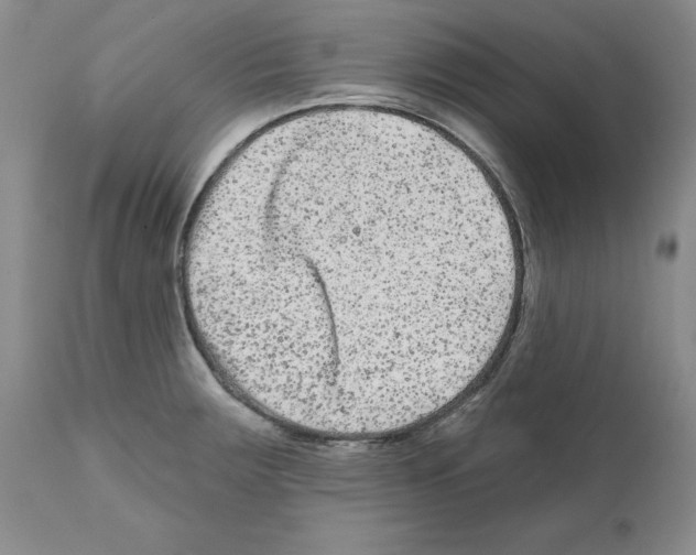 X0000112061283200909151017