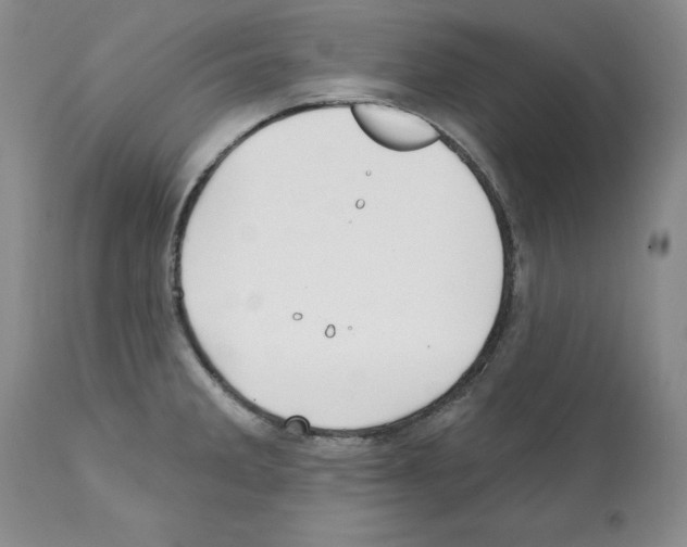 X0000112061285200909151017