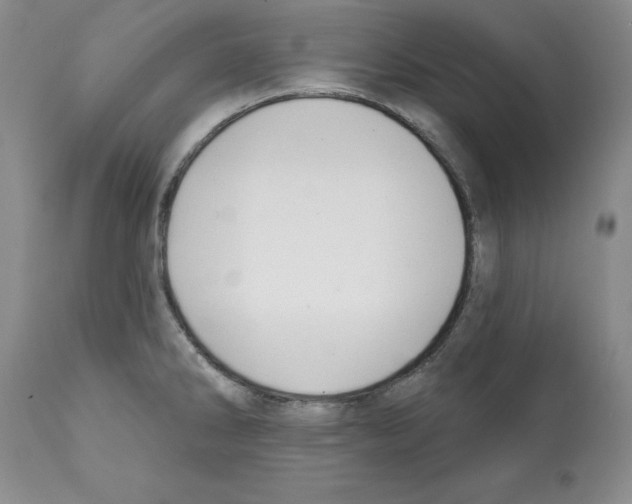 X0000112061286200909151017