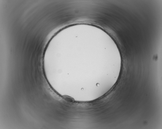 X0000112061288200909151017