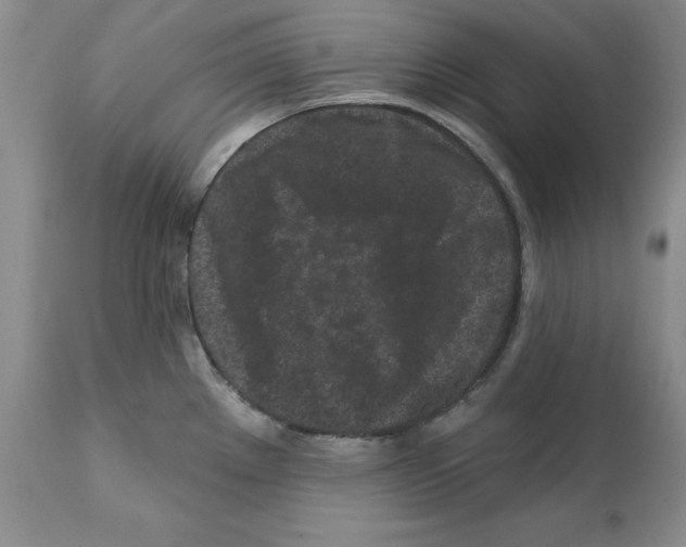 X0000112061289200909151017