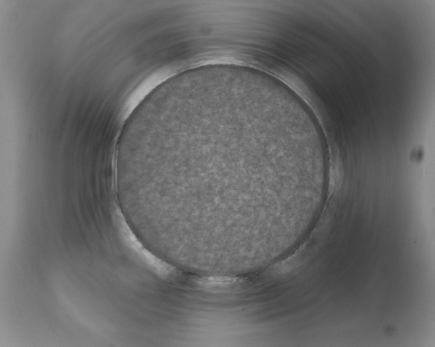 X0000112061290200909151017