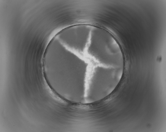 X0000112061291200909151017