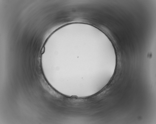 X0000112061292200909151017