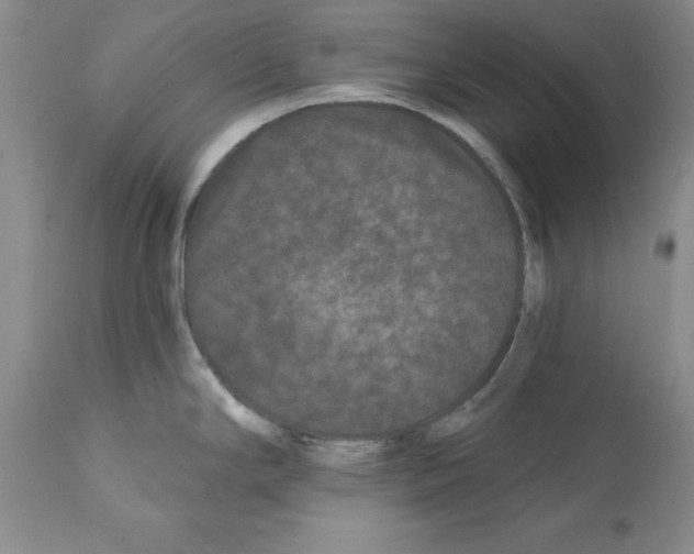 X0000112061294200909151017
