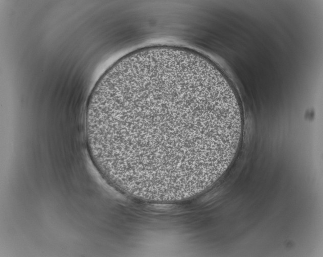 X0000112061295200909151017