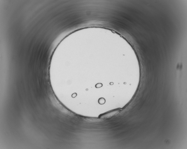 X0000112061296200909151017