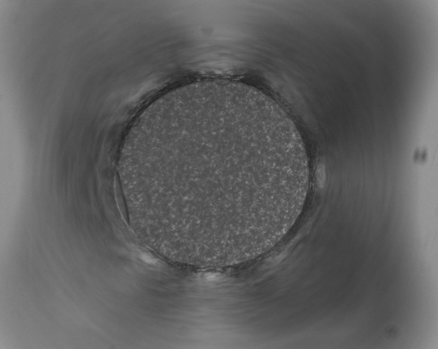 X0000112061297200909151016