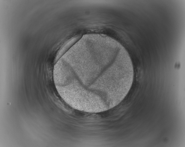 X0000112061298200909151016
