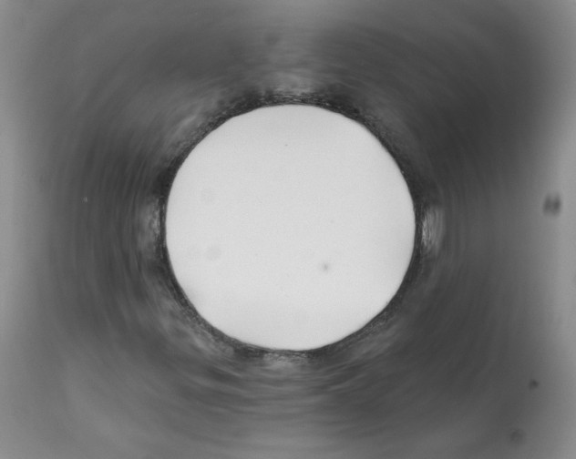X0000112061299200909151016