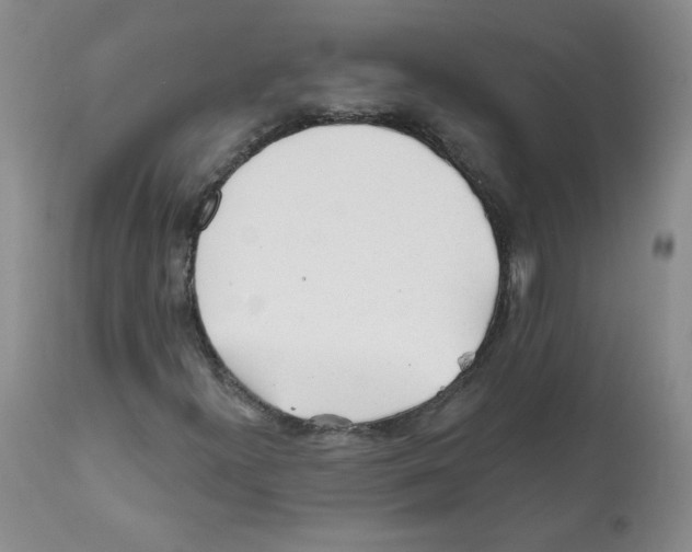 X0000112061300200909151017