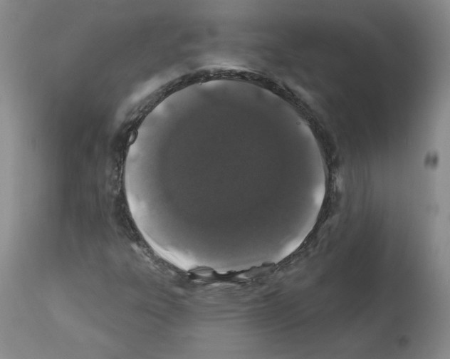 X0000112061303200909151017