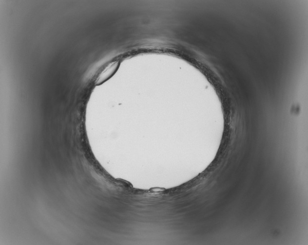 X0000112061304200909151017