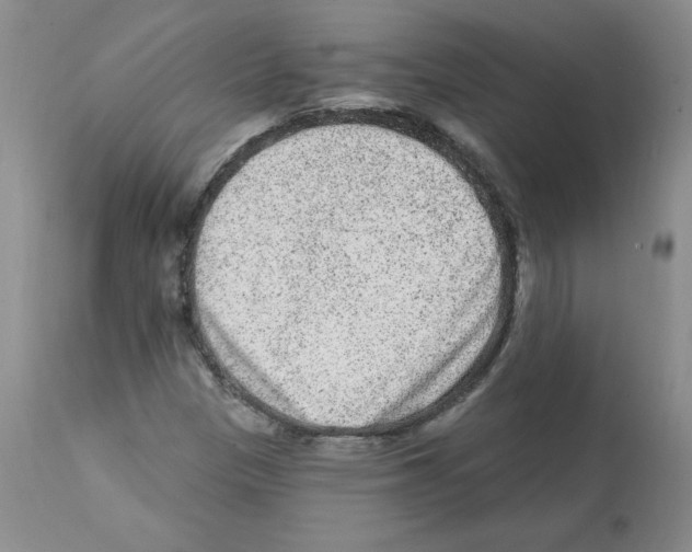 X0000112061305200909151017