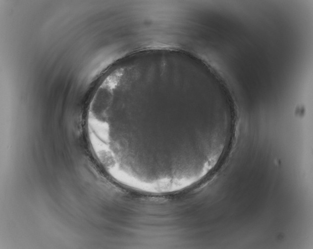 X0000112061306200909151017