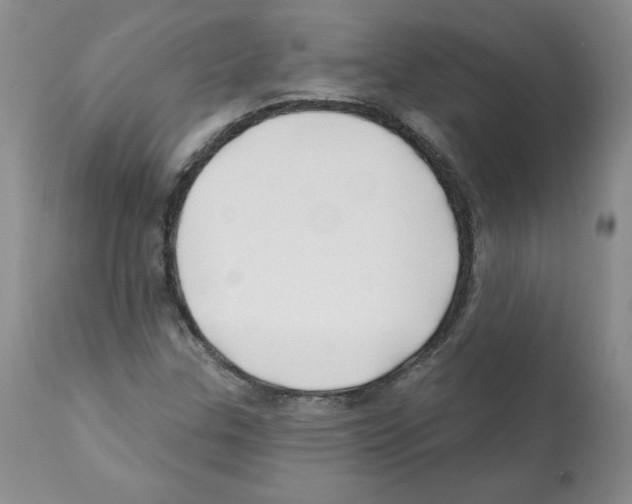 X0000112061307200909151017