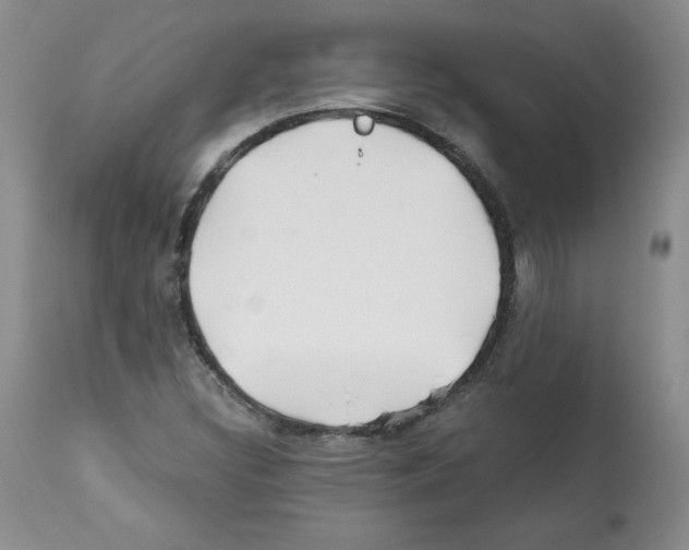 X0000112061308200909151017