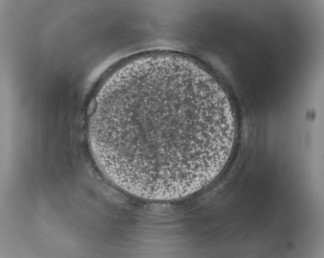 X0000112061310200909151017