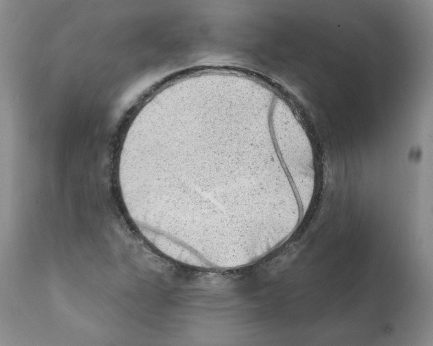 X0000112061311200909151017