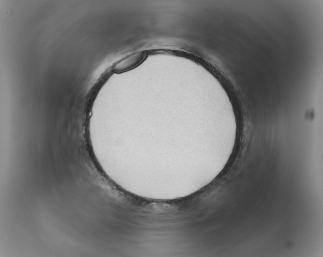 X0000112061312200909151017