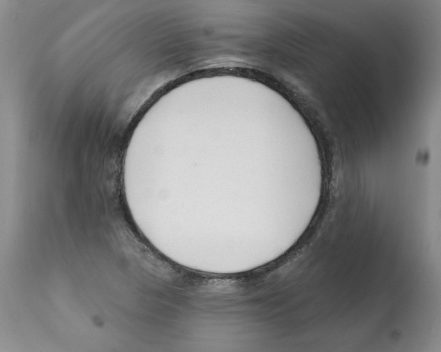 X0000112061313200909151017